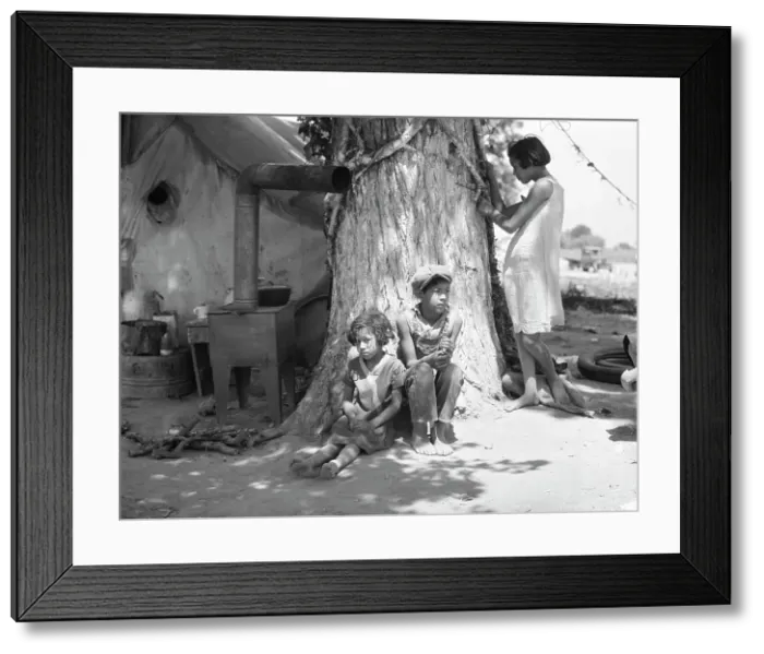 Framed Print : Motherless migrant children - they work in the cotton, 1935. Creator: Dorothea Lange Framed Print : Motherless migrant children - they work in the cotton, 1935. Creator: Dorothea Lange