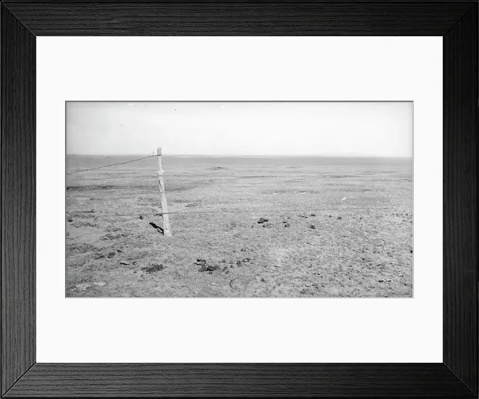 Framed Print : Stand of vega grass eaten off close, New Mexico, 1935. Creator: Dorothea Lange Framed Print : Stand of vega grass eaten off close, New Mexico, 1935. Creator: Dorothea Lange