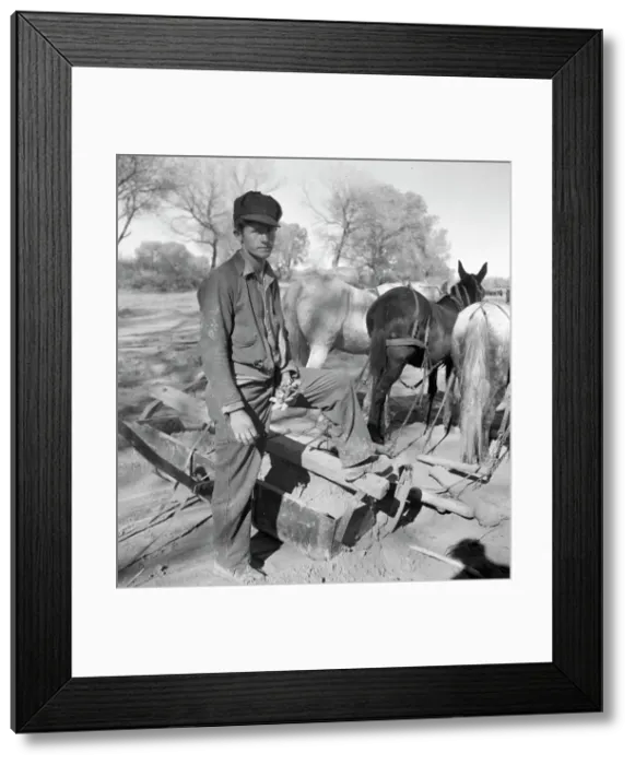 Framed Print : A new start, Bosque Farms project, New Mexico, 1935. Creator: Dorothea Lange Framed Print : A new start, Bosque Farms project, New Mexico, 1935. Creator: Dorothea Lange