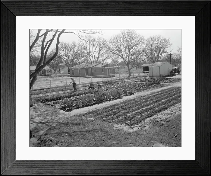Framed Print : El Monte federal subsistence homesteads, California, 1936. Creator: Dorothea Lange Framed Print : El Monte federal subsistence homesteads, California, 1936. Creator: Dorothea Lange