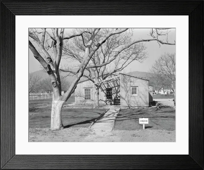 Framed Print : El Monte federal subsistence homesteads, California, 1936. Creator: Dorothea Lange Framed Print : El Monte federal subsistence homesteads, California, 1936. Creator: Dorothea Lange