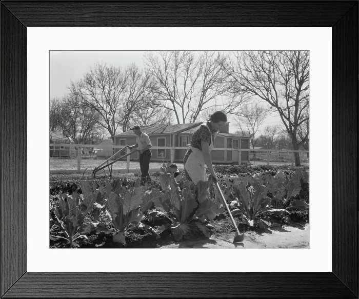 Framed Print : El Monte federal subsistence homesteads, California, 1936. Creator: Dorothea Lange Framed Print : El Monte federal subsistence homesteads, California, 1936. Creator: Dorothea Lange