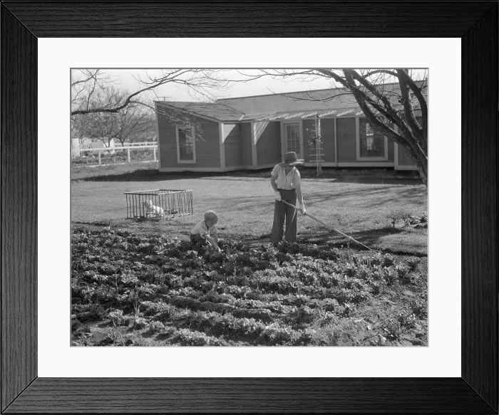 Framed Print : El Monte federal subsistence homesteads, California, 1936. Creator: Dorothea Lange Framed Print : El Monte federal subsistence homesteads, California, 1936. Creator: Dorothea Lange