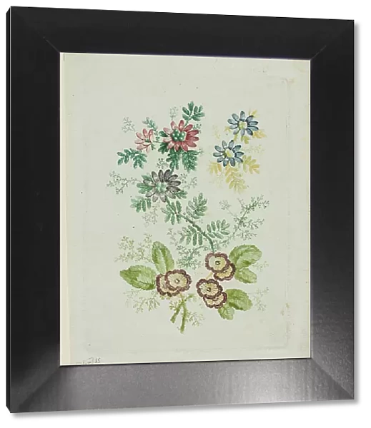 Flowers, 1796 / 1808. Creator: Anne Allen