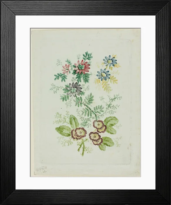 Framed Print : Flowers, 1796 / 1808. Creator: Anne Allen Framed Print : Flowers, 1796 / 1808. Creator: Anne Allen