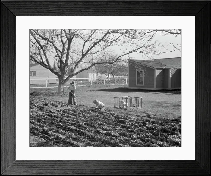 Framed Print : El Monte federal subsistence homesteads, California, 1936. Creator: Dorothea Lange Framed Print : El Monte federal subsistence homesteads, California, 1936. Creator: Dorothea Lange