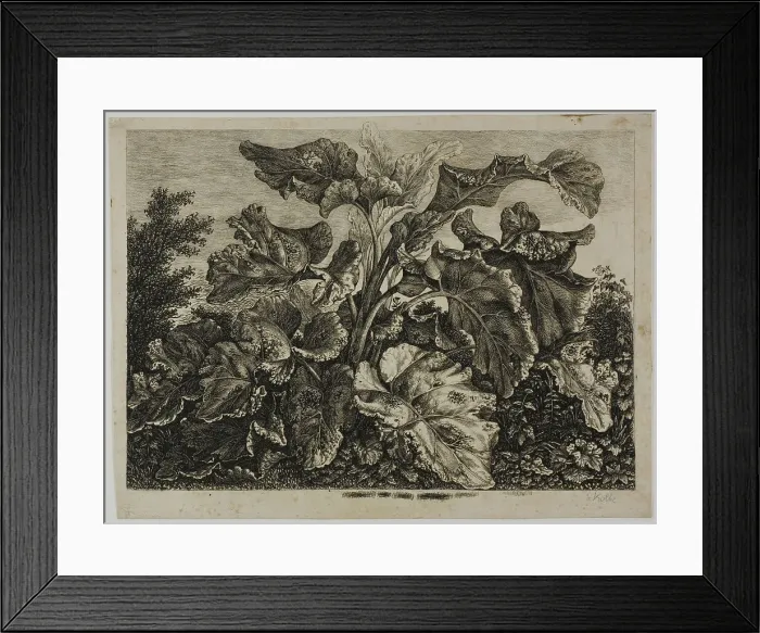 Framed Print : Vegetable Sheet, 1800 / 28. Creator: Carl Wilhelm Kolbe the elder Framed Print : Vegetable Sheet, 1800 / 28. Creator: Carl Wilhelm Kolbe the elder