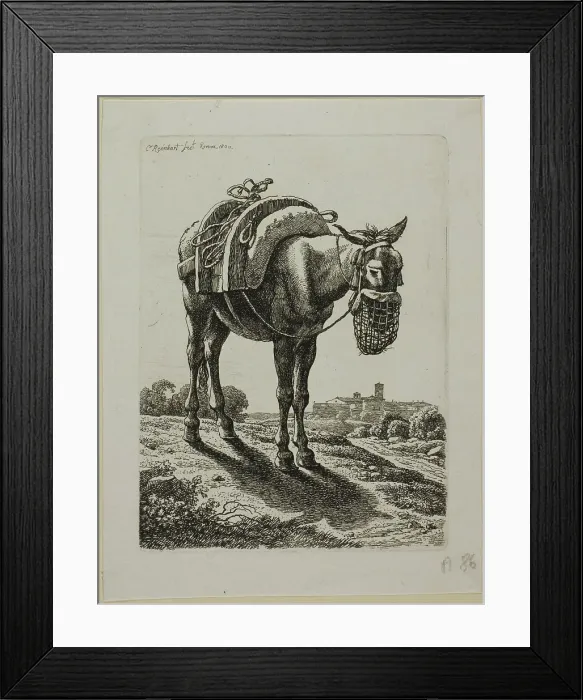 Framed Print : Feeding Mule - Front, from Die Zweite Thierfolge, 1800. Creator: Johann Christian Reinhart Framed Print : Feeding Mule - Front, from Die Zweite Thierfolge, 1800. Creator: Johann Christian Reinhart