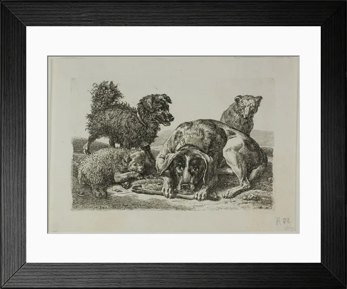 Framed Print : Four Dogs, from Die Zweite Thierfolge, 1799 / 1803. Creator: Johann Christian Reinhart Framed Print : Four Dogs, from Die Zweite Thierfolge, 1799 / 1803. Creator: Johann Christian Reinhart