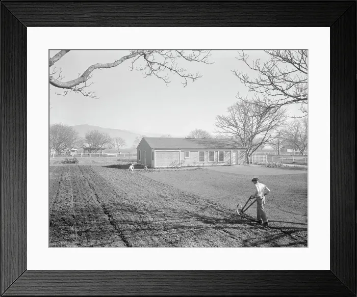 Framed Print : El Monte federal subsistence homesteads, California, 1936. Creator: Dorothea Lange Framed Print : El Monte federal subsistence homesteads, California, 1936. Creator: Dorothea Lange