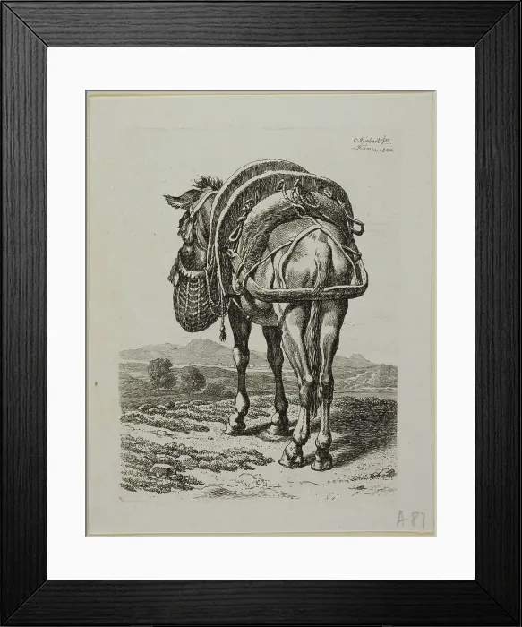 Framed Print : Feeding Mule - Rear, from Die Zweite Thierfolge, 1800. Creator: Johann Christian Reinhart Framed Print : Feeding Mule - Rear, from Die Zweite Thierfolge, 1800. Creator: Johann Christian Reinhart
