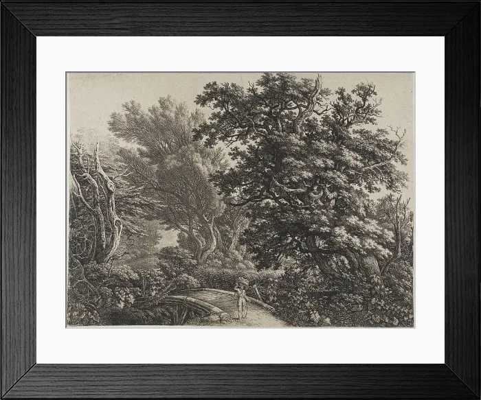 Framed Print : Rustic Bridge in a Tangled Wood, n.d. Creator: Carl Wilhelm Kolbe the elder Framed Print : Rustic Bridge in a Tangled Wood, n.d. Creator: Carl Wilhelm Kolbe the elder