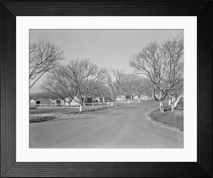 Framed Print : El Monte federal subsistence homesteads, California, 1936. Creator: Dorothea Lange Framed Print : El Monte federal subsistence homesteads, California, 1936. Creator: Dorothea Lange