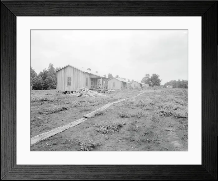 Framed Print : New cabins at Hill House, Mississippi, 1936. Creator: Dorothea Lange Framed Print : New cabins at Hill House, Mississippi, 1936. Creator: Dorothea Lange