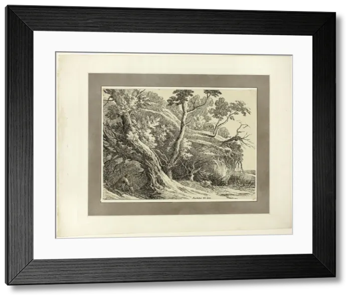 Framed Print : Landscape with Large Trees, from the first issue of Specimens of Polyautography, 1802. Creator: Richard Cooper Framed Print : Landscape with Large Trees, from the first issue of Specimens of Polyautography, 1802. Creator: Richard Cooper