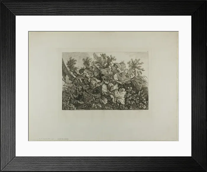 Framed Print : Swamp Plants, n.d. Creator: Carl Wilhelm Kolbe the elder Framed Print : Swamp Plants, n.d. Creator: Carl Wilhelm Kolbe the elder