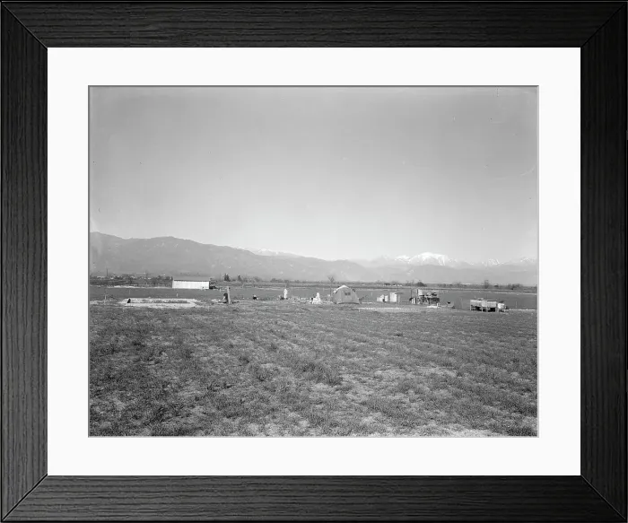 Framed Print : Oklahomans trying to make a new start in California, Near Los Angeles, 1936. Creator: Dorothea Lange Framed Print : Oklahomans trying to make a new start in California, Near Los Angeles, 1936. Creator: Dorothea Lange