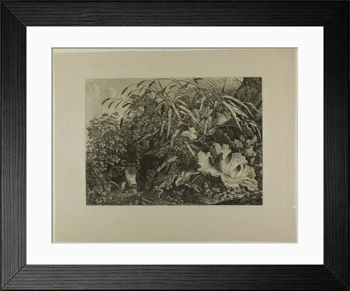 Framed Print : Cow Standing in a Swamp, n.d. Creator: Carl Wilhelm Kolbe the elder Framed Print : Cow Standing in a Swamp, n.d. Creator: Carl Wilhelm Kolbe the elder