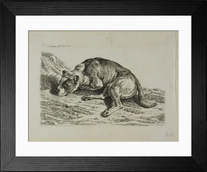 Framed Print : Dog Laying Down, from from Die Zweite Thierfolge, 1799 / 1803. Creator: Johann Christian Reinhart Framed Print : Dog Laying Down, from from Die Zweite Thierfolge, 1799 / 1803. Creator: Johann Christian Reinhart