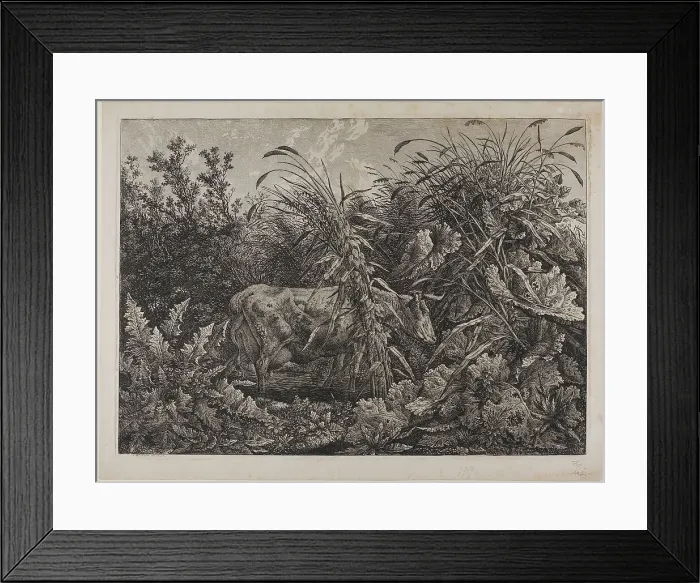 Framed Print : Cow in a Stream, n.d. Creator: Carl Wilhelm Kolbe the elder Framed Print : Cow in a Stream, n.d. Creator: Carl Wilhelm Kolbe the elder