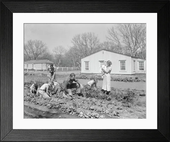Framed Print : El Monte federal subsistence Homesteads, California, 1936. Creator: Dorothea Lange