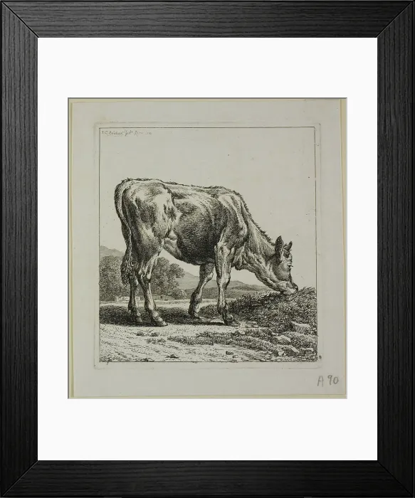 Framed Print : Calf Feeding, from Die Zweite Thierfolge, 1800. Creator: Johann Christian Reinhart Framed Print : Calf Feeding, from Die Zweite Thierfolge, 1800. Creator: Johann Christian Reinhart