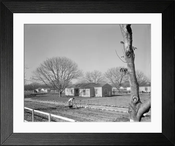 Framed Print : El Monte federal subsistence Homesteads, California, 1936. Creator: Dorothea Lange Framed Print : El Monte federal subsistence Homesteads, California, 1936. Creator: Dorothea Lange