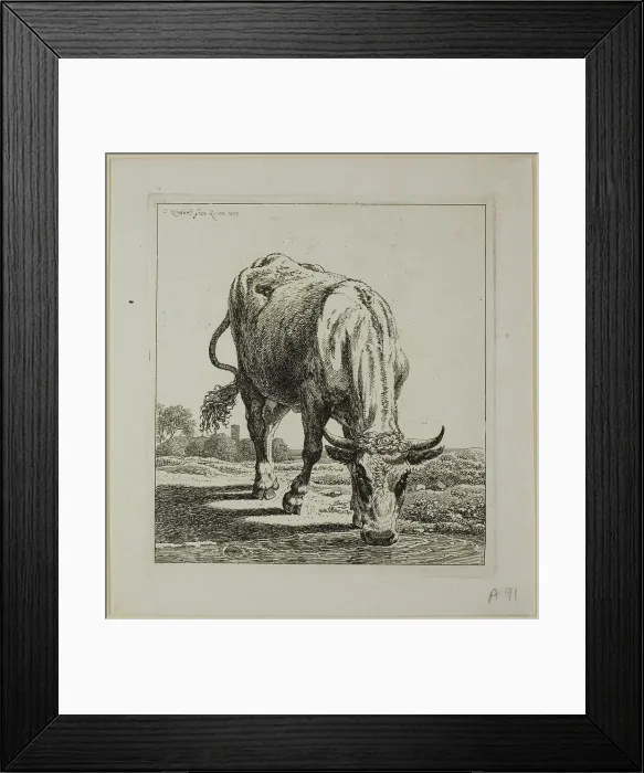 Framed Print : Cow Drinking, from Die Zweite Thierfolge, 1800. Creator: Johann Christian Reinhart Framed Print : Cow Drinking, from Die Zweite Thierfolge, 1800. Creator: Johann Christian Reinhart