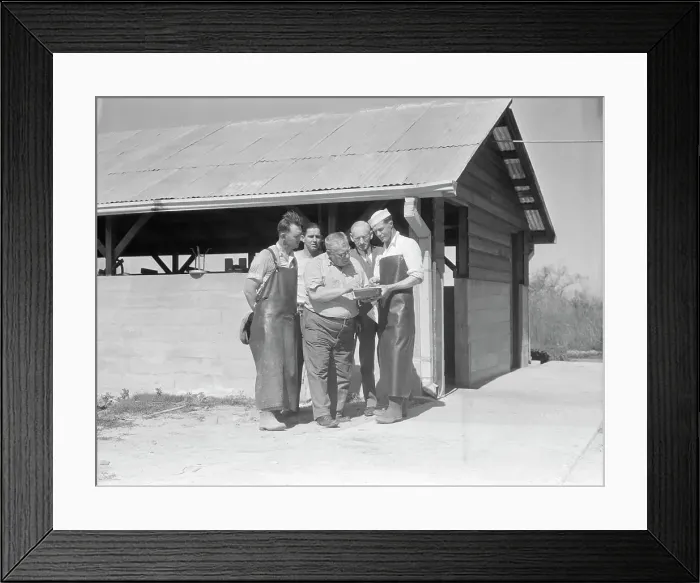 Framed Print : Self-help cooperative dairy, near Santa Ana, California, 1936. Creator: Dorothea Lange Framed Print : Self-help cooperative dairy, near Santa Ana, California, 1936. Creator: Dorothea Lange