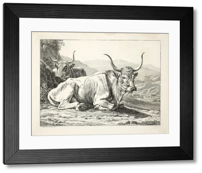 Framed Print : Two Roman Bulls Resting, from Die Zwiete Thierfolge, 1800. Creator: Johann Christian Reinhart