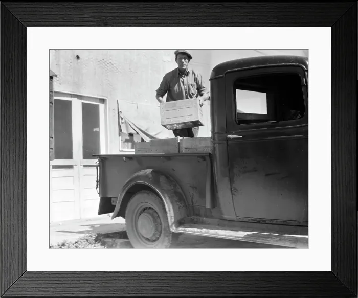 Framed Print : Loading milk at the self-help cooperative dairy, near Santa Ana, California, 1936. Creator: Dorothea Lange Framed Print : Loading milk at the self-help cooperative dairy, near Santa Ana, California, 1936. Creator: Dorothea Lange