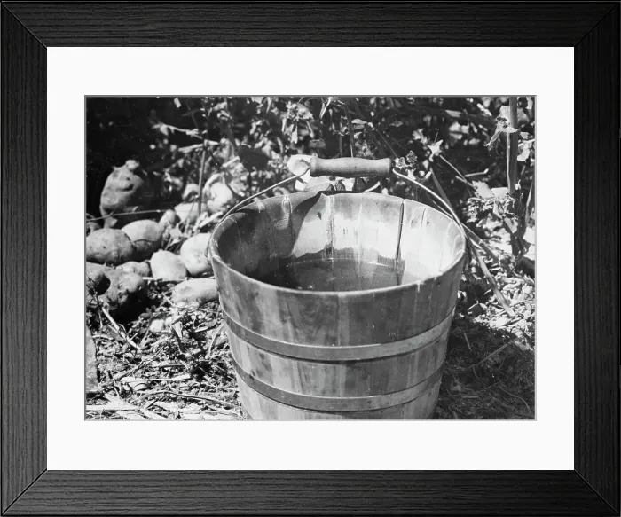 Framed Print : Water, Southern California, 1935. Creator: Dorothea Lange Framed Print : Water, Southern California, 1935. Creator: Dorothea Lange