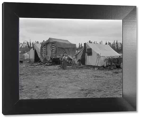 In one of the largest pea camps in California, 1936. Creator: Dorothea Lange