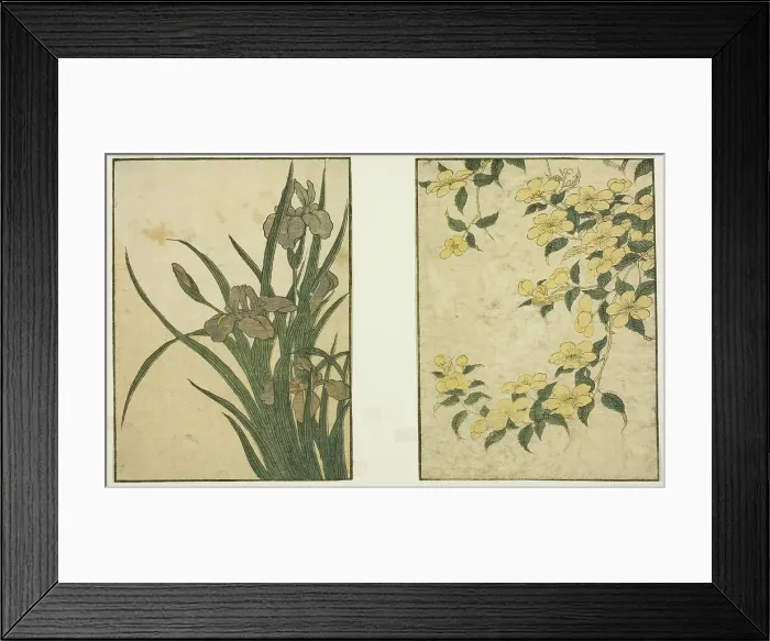 Framed Print : Kerria and Iris, from the illustrated book Picture Book: Flowers of the Four Seasons... 1801. Creator: Kitagawa Utamaro. Kerria and Iris, from the illustrated book Picture Book: Flowers of the Four Seasons... 1801. Creator: Kitagawa Utamaro Framed Print : Kerria and Iris, from the illustrated book Picture Book: Flowers of the Four Seasons... 1801. Creator: Kitagawa Utamaro. Kerria and Iris, from the illustrated book Picture Book: Flowers of the Four Seasons... 1801. Creator: Kitagawa Utamaro