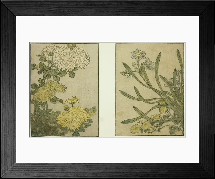 Framed Print : Chrysanthemum and Narcissus, from the illustrated book Picture Book: Flowers of the... 1801. Creator: Kitagawa Utamaro. Chrysanthemum and Narcissus, from the illustrated book Picture Book: Flowers of the... 1801. Creator: Kitagawa Utamaro Framed Print : Chrysanthemum and Narcissus, from the illustrated book Picture Book: Flowers of the... 1801. Creator: Kitagawa Utamaro. Chrysanthemum and Narcissus, from the illustrated book Picture Book: Flowers of the... 1801. Creator: Kitagawa Utamaro
