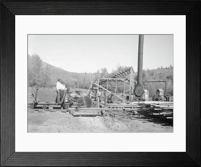 Framed Print : Ola self-help sawmill under construction, Idaho, 1939. Creator: Dorothea Lange Framed Print : Ola self-help sawmill under construction, Idaho, 1939. Creator: Dorothea Lange