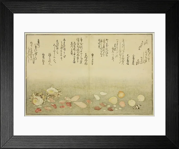 Framed Print : Shiro-gai, namima-gashiwa, makura-gai, iro-gai, aza-gai, sadae-gai, from the illustrated b... 1789. Creator: Kitagawa Utamaro Framed Print : Shiro-gai, namima-gashiwa, makura-gai, iro-gai, aza-gai, sadae-gai, from the illustrated b... 1789. Creator: Kitagawa Utamaro