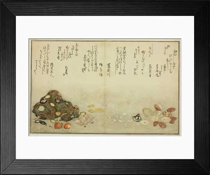 Framed Print : Ashi-gai, hamaguri, ko-gai, suzume-gai, akoya-gai, and katashi-gai, from the illustrated... 1789. Creator: Kitagawa Utamaro Framed Print : Ashi-gai, hamaguri, ko-gai, suzume-gai, akoya-gai, and katashi-gai, from the illustrated... 1789. Creator: Kitagawa Utamaro