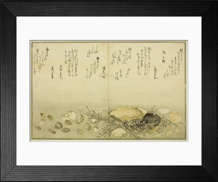 Framed Print : Chidori-gai, itaya-gai, awabi, utsuse-gai, asari-gai, and monoara-gai, from the illustrated...1789. Creator: Kitagawa Utamaro Framed Print : Chidori-gai, itaya-gai, awabi, utsuse-gai, asari-gai, and monoara-gai, from the illustrated...1789. Creator: Kitagawa Utamaro