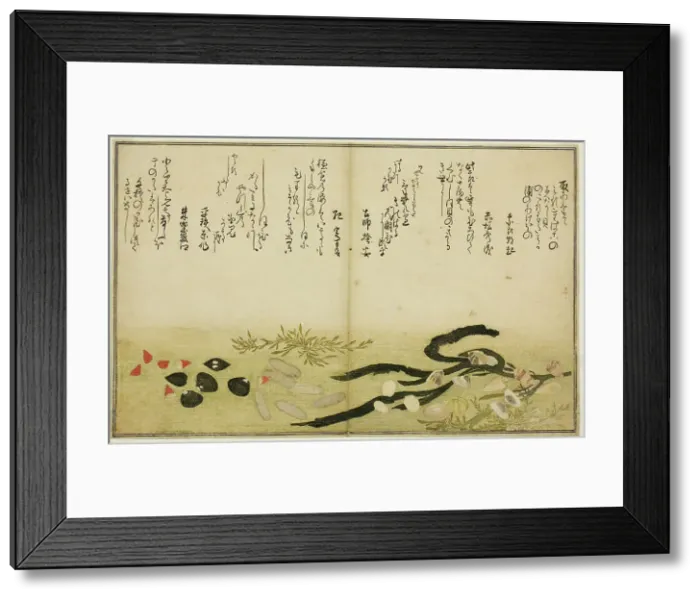 Framed Print : Minashi-gai, shio-gai, katatsu-gai, miso-gai, chijimi-gai, and chigusa-gai, from the illus... 1789. Creator: Kitagawa Utamaro Framed Print : Minashi-gai, shio-gai, katatsu-gai, miso-gai, chijimi-gai, and chigusa-gai, from the illus... 1789. Creator: Kitagawa Utamaro