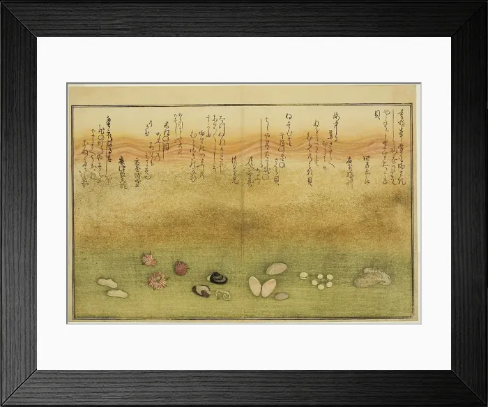 Framed Print : Sudare-gai, hana-gai, sakura-gai, mumeno-gai, nadeshiko-gai, and kinuta-gai, from the illu... 1789. Creator: Kitagawa Utamaro Framed Print : Sudare-gai, hana-gai, sakura-gai, mumeno-gai, nadeshiko-gai, and kinuta-gai, from the illu... 1789. Creator: Kitagawa Utamaro
