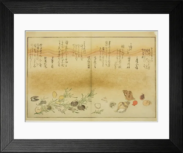 Framed Print : Beni-gai, hora-gai, urauzu-gai, wasure-gai, chiyonohana-gai, and masuho-gai, from... Japan, 1789. Creator: Kitagawa Utamaro Framed Print : Beni-gai, hora-gai, urauzu-gai, wasure-gai, chiyonohana-gai, and masuho-gai, from... Japan, 1789. Creator: Kitagawa Utamaro