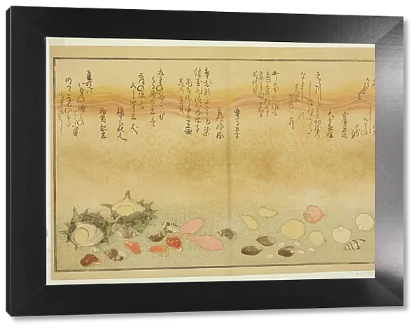 Shiro-gai, namima-gashiwa, makura-gai, iro-gai, aza-gai, sadae-gai, from the illustrated b... 1789. Creator: Kitagawa Utamaro