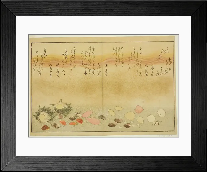 Framed Print : Shiro-gai, namima-gashiwa, makura-gai, iro-gai, aza-gai, sadae-gai, from the illustrated b... 1789. Creator: Kitagawa Utamaro Framed Print : Shiro-gai, namima-gashiwa, makura-gai, iro-gai, aza-gai, sadae-gai, from the illustrated b... 1789. Creator: Kitagawa Utamaro