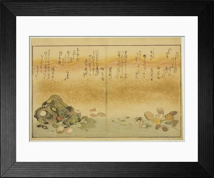 Framed Print : Ashi-gai, hamaguri, ko-gai, suzume-gai, akoya-gai, and katashi-gai, from the illustrated... 1789. Creator: Kitagawa Utamaro Framed Print : Ashi-gai, hamaguri, ko-gai, suzume-gai, akoya-gai, and katashi-gai, from the illustrated... 1789. Creator: Kitagawa Utamaro