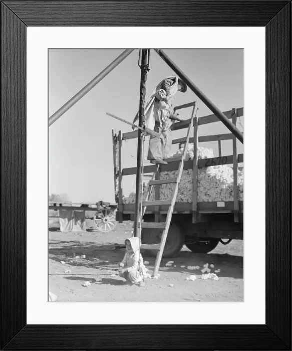 Framed Print : Cotton weigher, Southern San Joaquin Valley, California, 1936. Creator: Dorothea Lange Framed Print : Cotton weigher, Southern San Joaquin Valley, California, 1936. Creator: Dorothea Lange