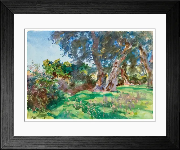 Framed Print : Olive Trees, Corfu, 1909. Creator: John Singer Sargent Framed Print : Olive Trees, Corfu, 1909. Creator: John Singer Sargent