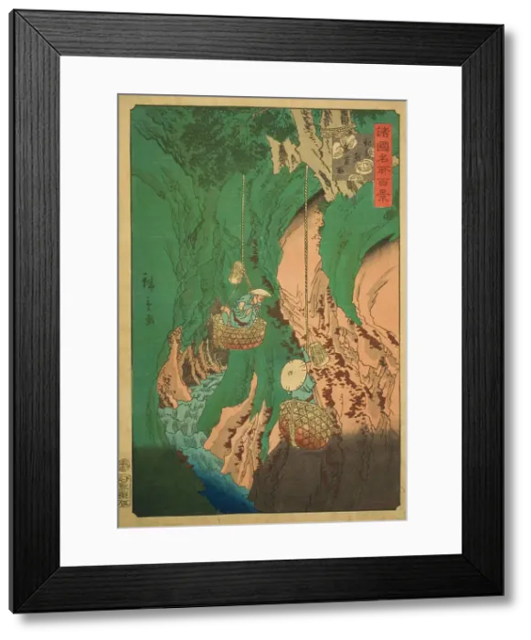 Framed Print : Mushroom Gathering at Kumano in Kii Province (Kishu Kumano iwatake tori) from the series... 1860. Creator: Utagawa Hiroshige II. Mushroom Gathering at Kumano in Kii Province (Kishu Kumano iwatake tori) from the series... 1860 Framed Print : Mushroom Gathering at Kumano in Kii Province (Kishu Kumano iwatake tori) from the series... 1860. Creator: Utagawa Hiroshige II. Mushroom Gathering at Kumano in Kii Province (Kishu Kumano iwatake tori) from the series... 1860