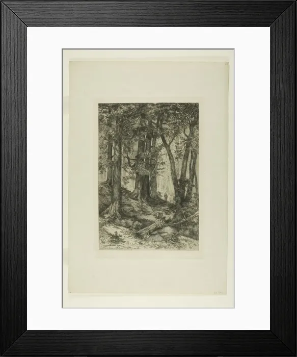 Framed Print : A California Forest, 1888. Creators: Mary Nimmo, Thomas Moran Framed Print : A California Forest, 1888. Creators: Mary Nimmo, Thomas Moran