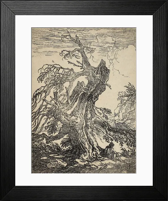 Framed Print : Study of a Tree, 1802. Creator: Raphael Lamar West Framed Print : Study of a Tree, 1802. Creator: Raphael Lamar West